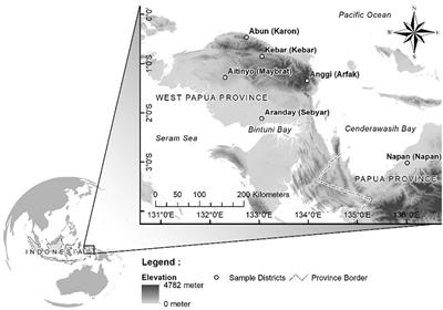 Target, tool, tenure and timing: the four T’s limiting the impact of traditional hunting in Indonesian Papua